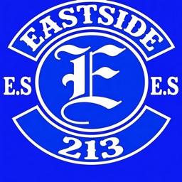 es213 avatar