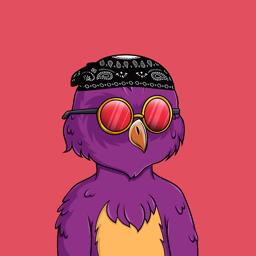 solava001 avatar