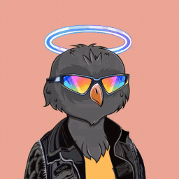 crazyfooxx avatar