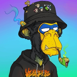 princechigbo avatar