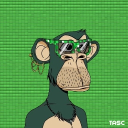 oxstannxbt avatar