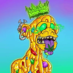 hashvoltage avatar