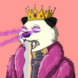 allcaps_bestbelieve avatar