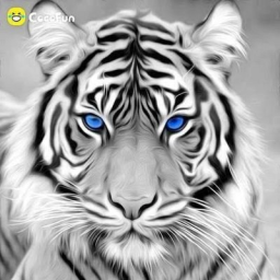 dugardagor avatar