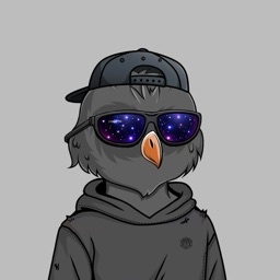 noba_sol avatar