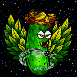 r1car_p3r avatar