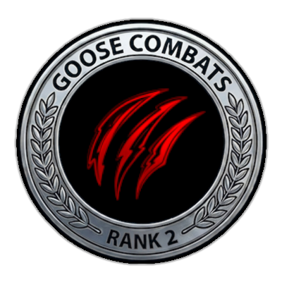 S1 PRML Rank #2 medal